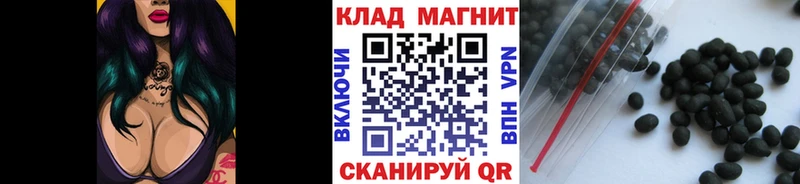 Продажа наркотиков Артём Галлюциногенные грибы Кокаин Меф Бошки Шишки