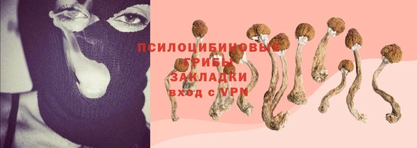 ECSTASY Волосово