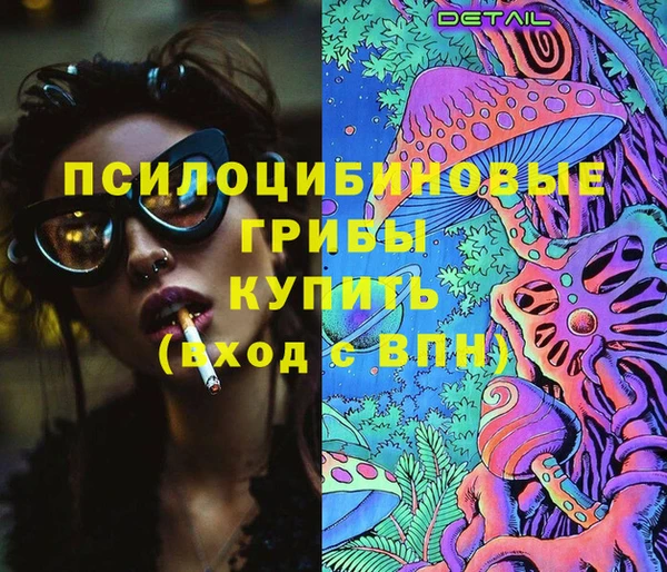 сатива Володарск
