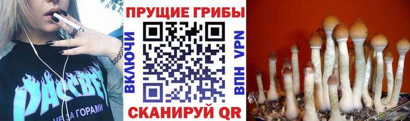 Галлюциногенные грибы мухоморы  ОМГ ОМГ ССЫЛКА  Артём 